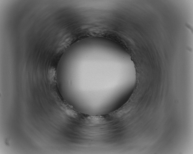 X0000098140480200804241718