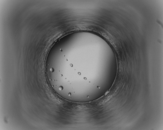 X0000098140481200804241717