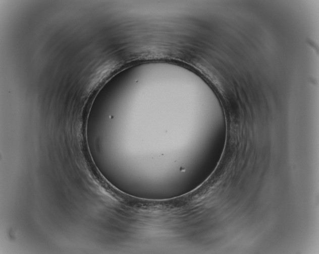 X0000098140485200804241717