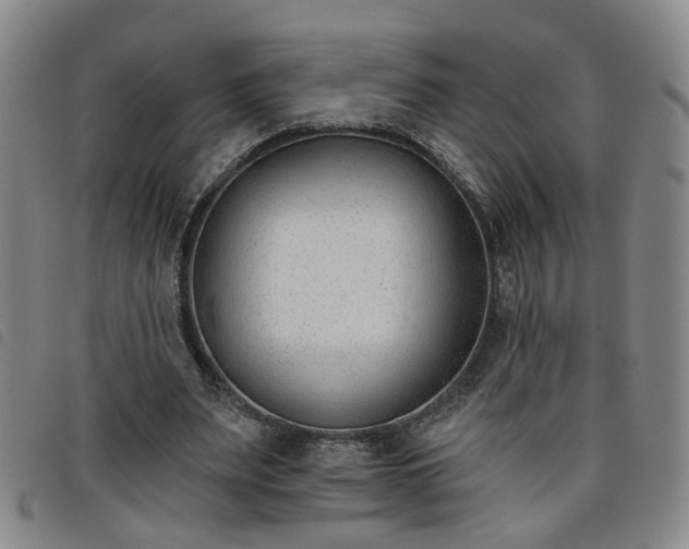 X0000098140487200804241717
