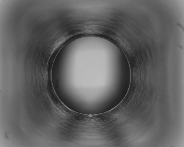 X0000098140488200804241717