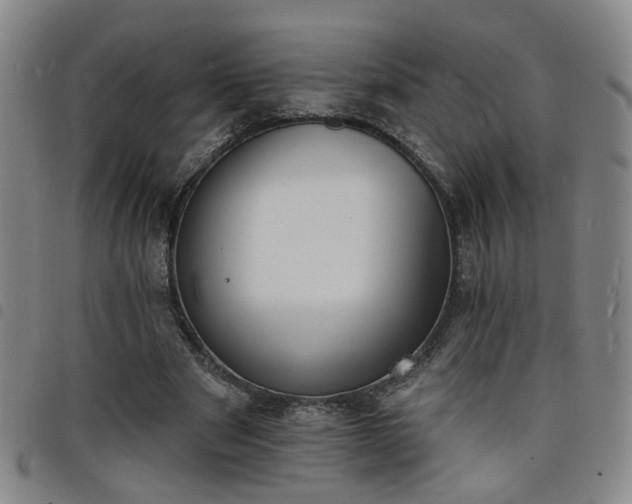 X0000098140489200804241717