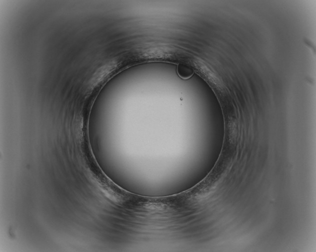 X0000098140490200804241717
