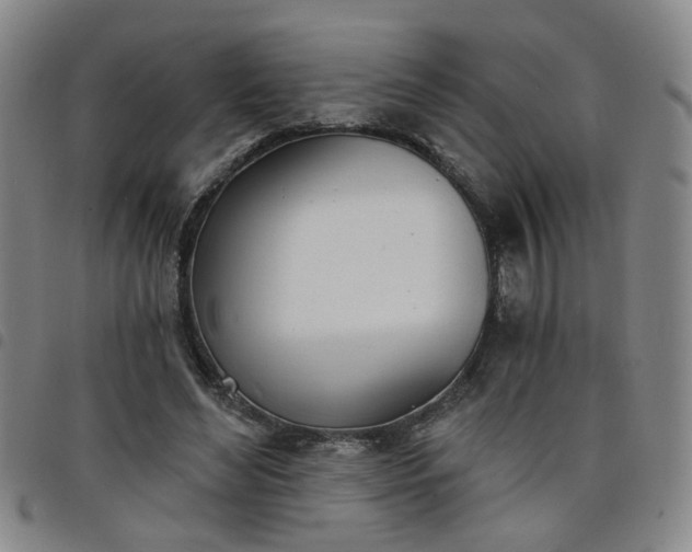 X0000098140492200804241717