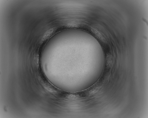 X0000098140494200804241717