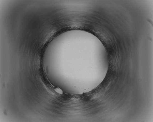X0000098140496200804241717