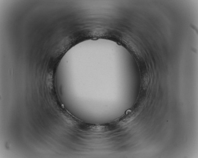 X0000098140497200804241717
