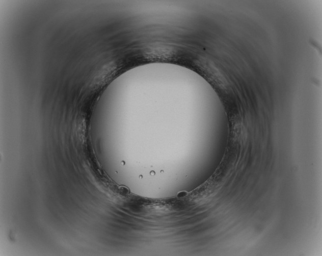 X0000098140498200804241717