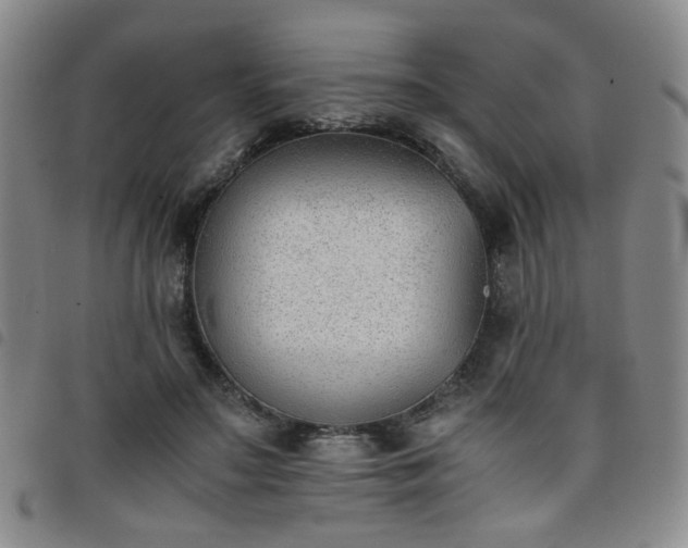 X0000098140499200804241717