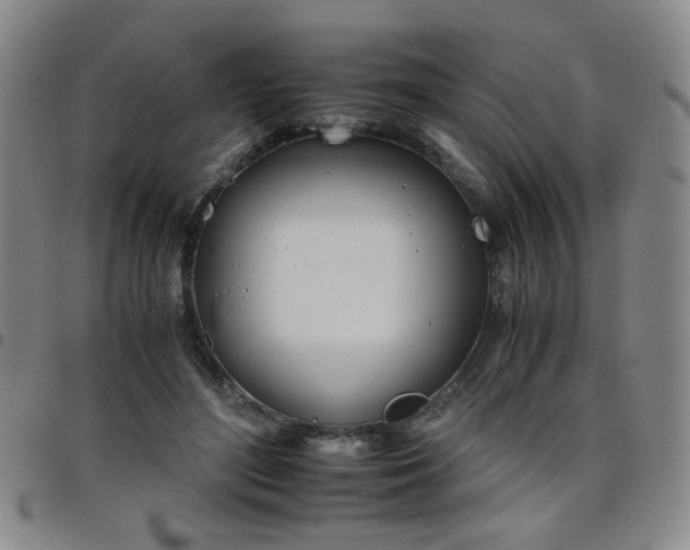 X0000098140500200804241717