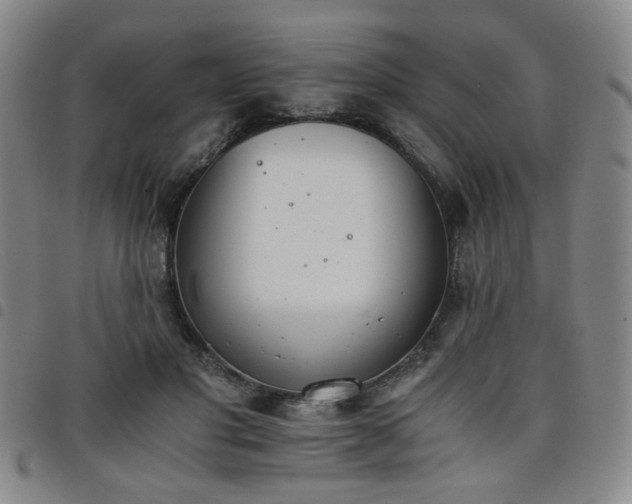 X0000098140501200804241717