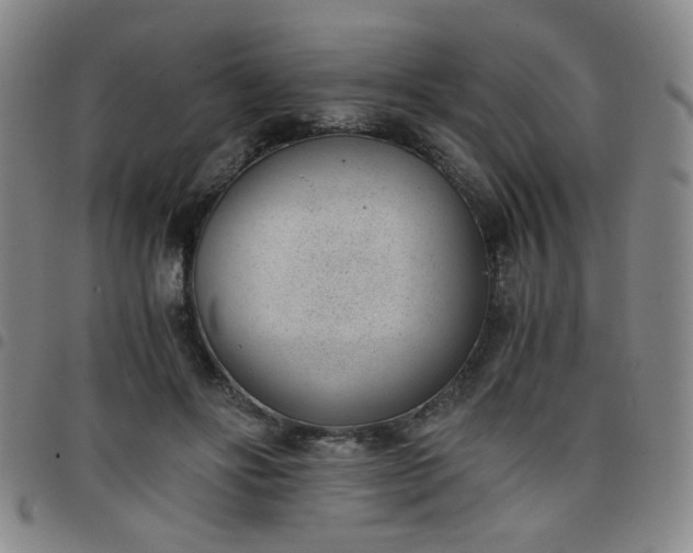 X0000098140502200804241717