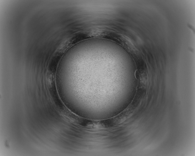 X0000098140503200804241717