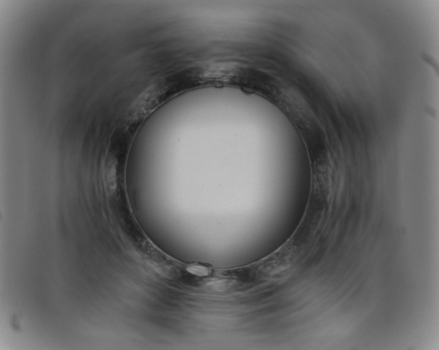 X0000098140504200804241717