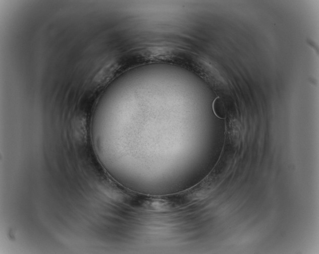 X0000098140506200804241717