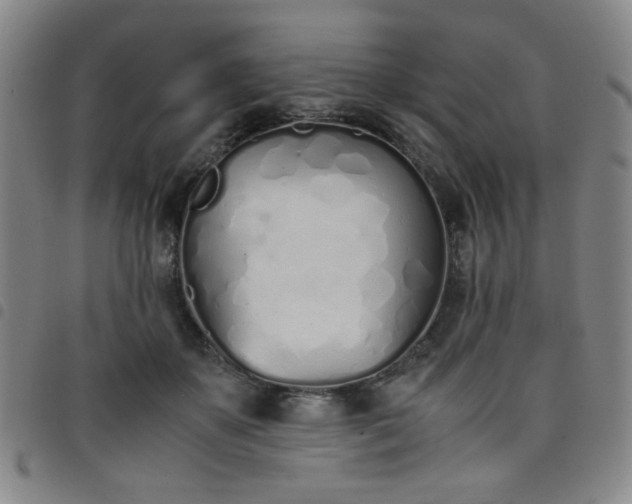 X0000098140507200804241717