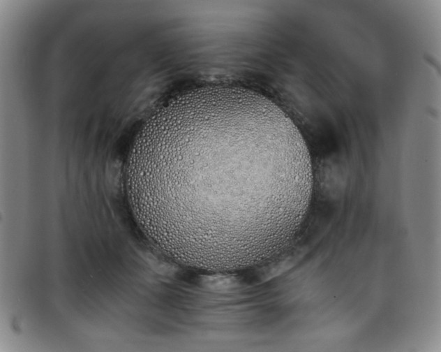 X0000098140511200804241717