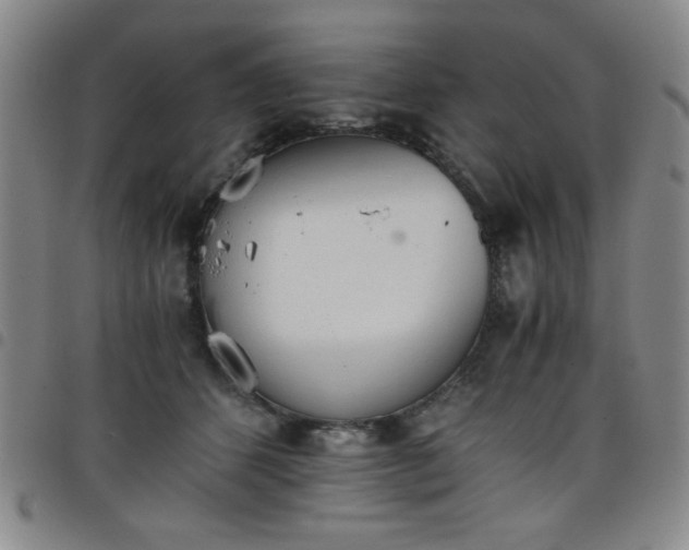 X0000098140512200804241717