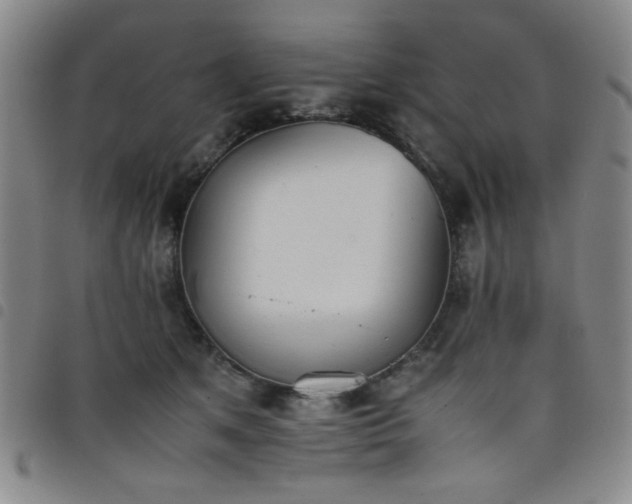 X0000098140513200804241717