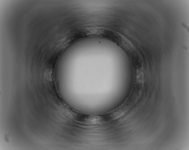 X0000098140514200804241717