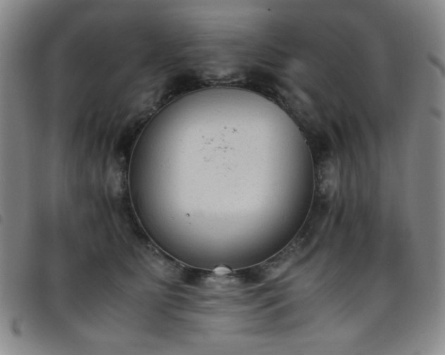 X0000098140515200804241717