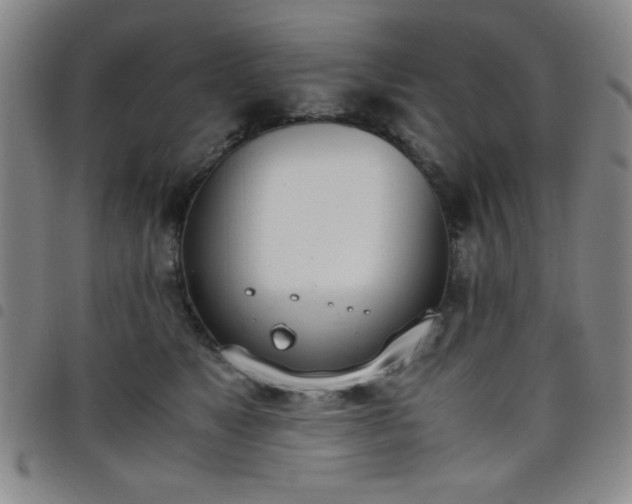 X0000098140517200804241717