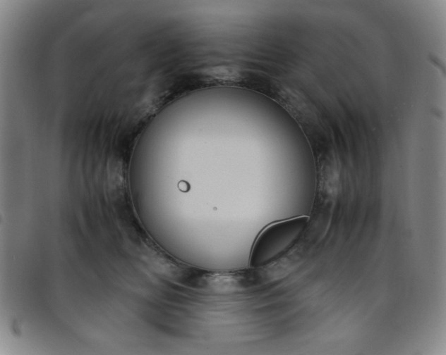 X0000098140518200804241717