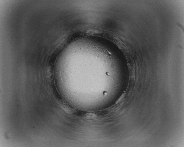 X0000098140519200804241717