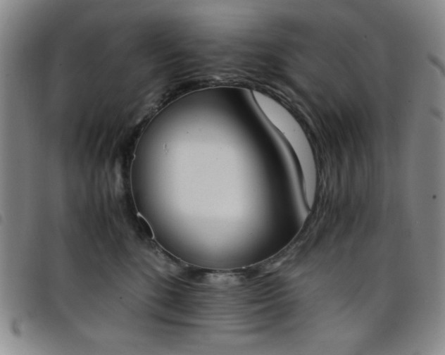 X0000098140520200804241717