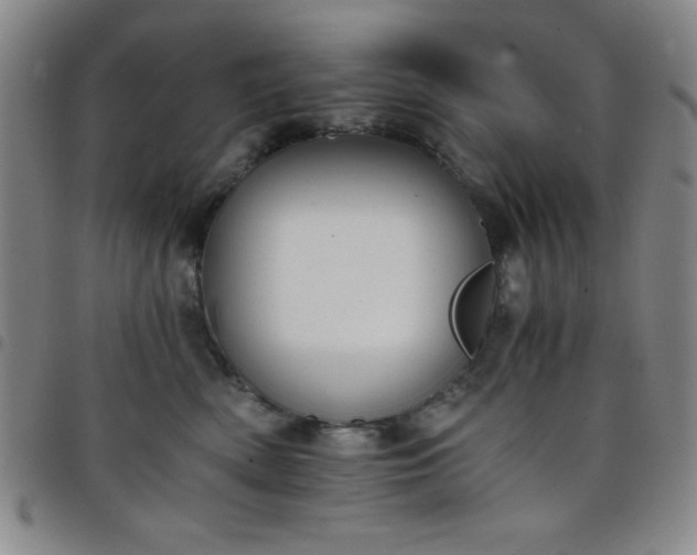 X0000098140522200804241717
