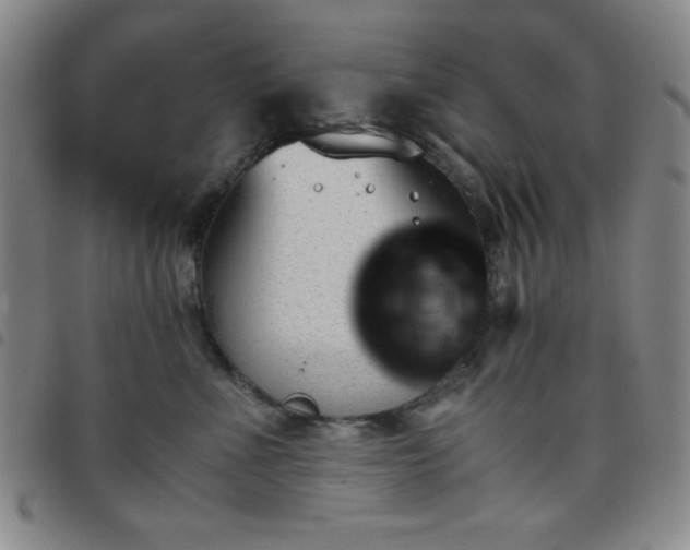 X0000098140523200804241717
