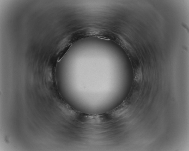 X0000098140524200804241717