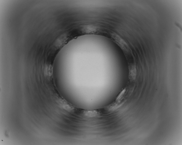 X0000098140525200804241717