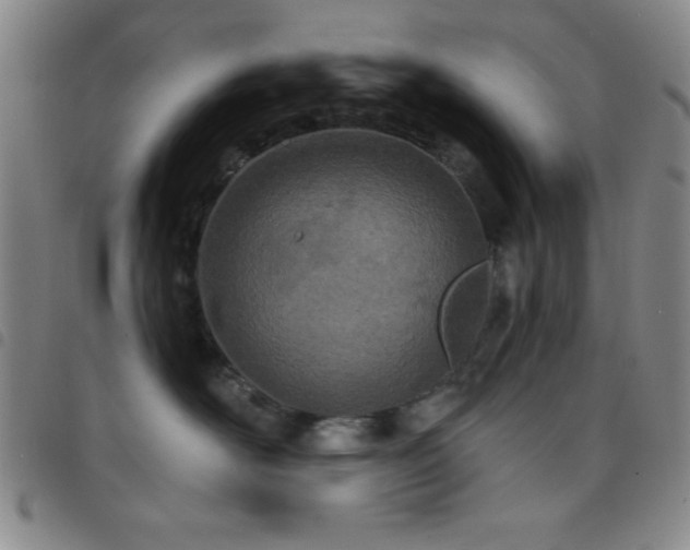 X0000098140526200804241717