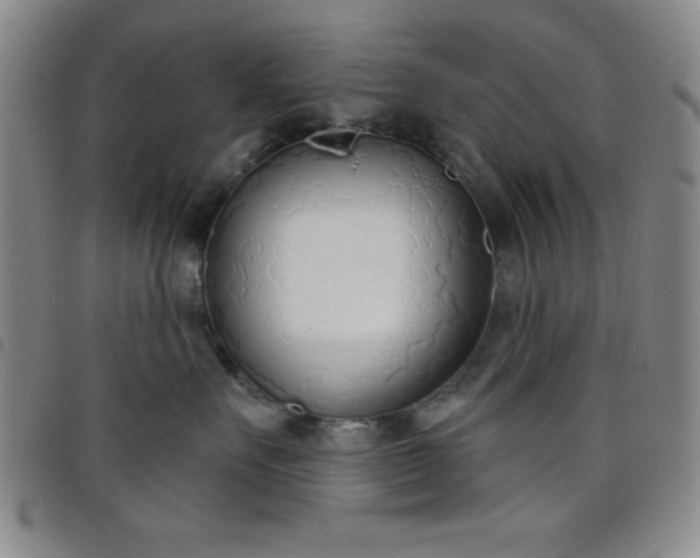 X0000098140527200804241717