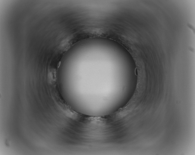 X0000098140528200804241717