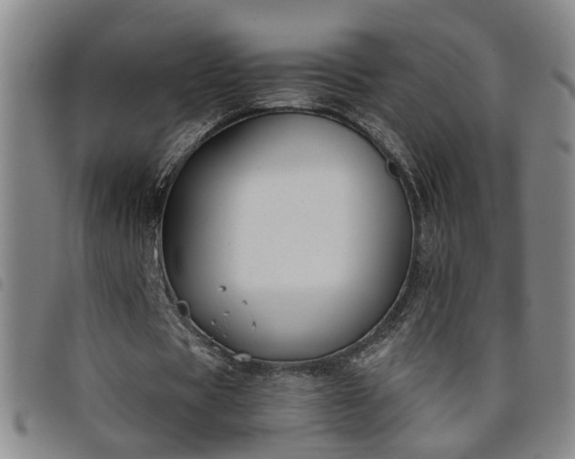 X0000098140529200804241716