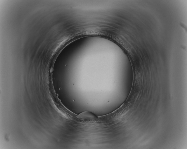 X0000098140530200804241716