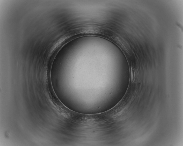 X0000098140531200804241716