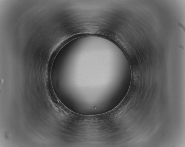 X0000098140532200804241716