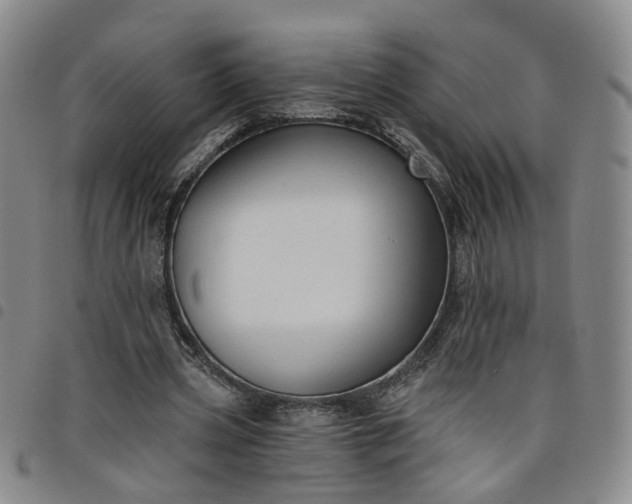 X0000098140533200804241716