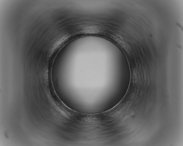 X0000098140535200804241716