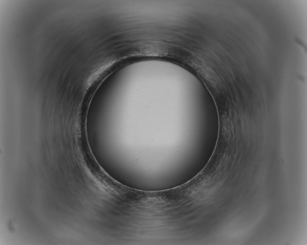X0000098140536200804241716