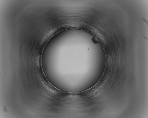 X0000098140537200804241716