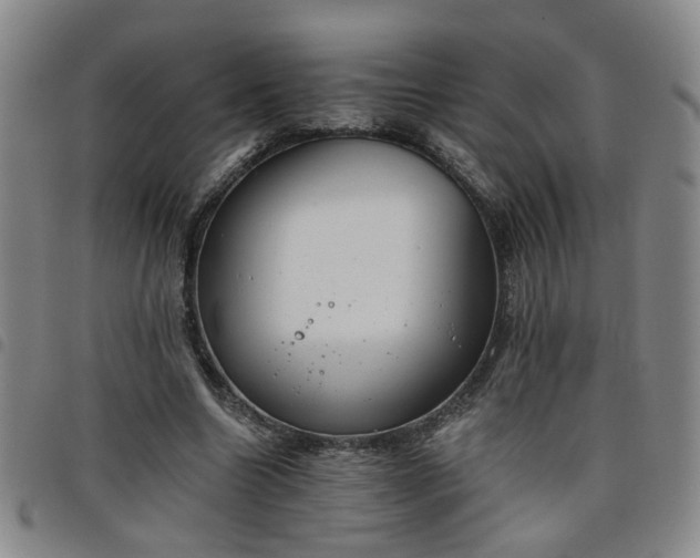 X0000098140538200804241716