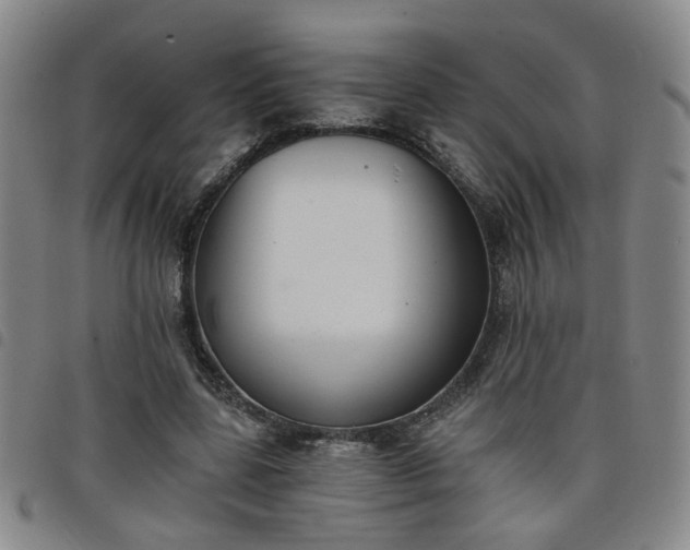 X0000098140539200804241716