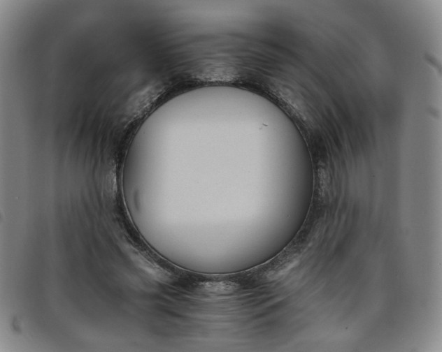 X0000098140541200804241716