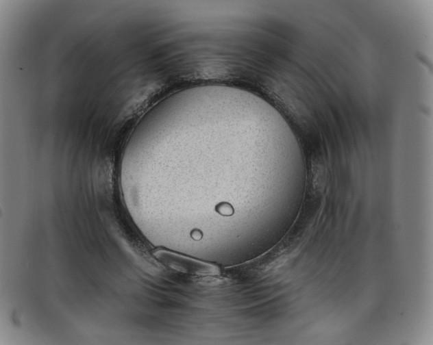 X0000098140542200804241716