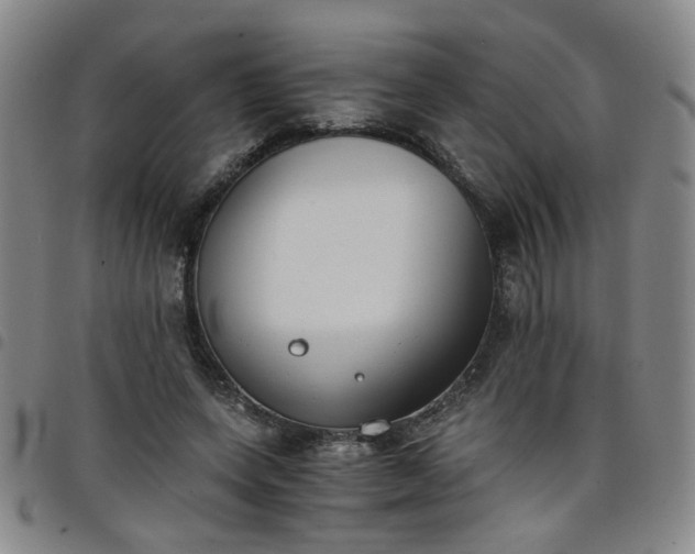 X0000098140543200804241716