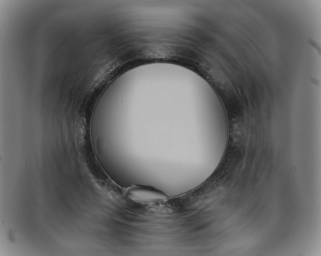 X0000098140544200804241716